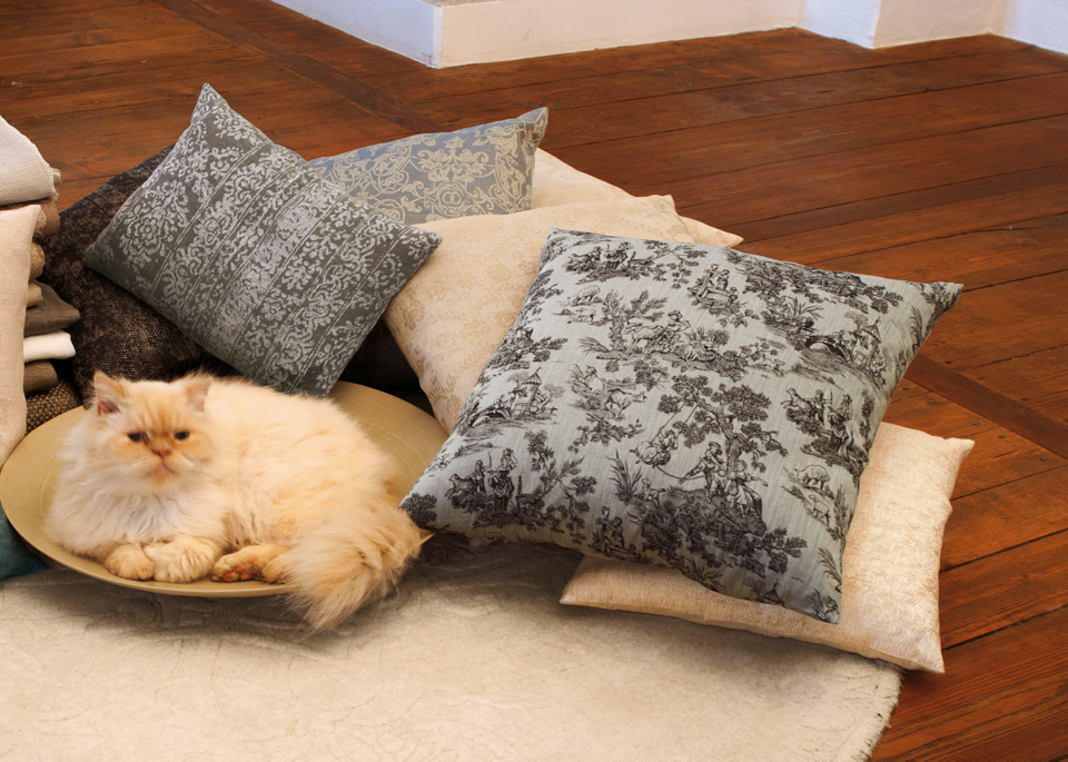Leitner-Kissen-Katze